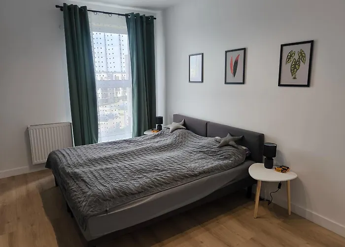 Academic Point Bydgoszcz